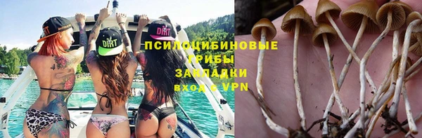 ALPHA-PVP Белокуриха