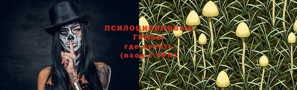 прущая мука Беломорск