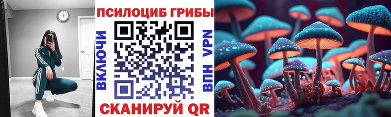 мега рабочий сайт  хочу наркоту  Тобольск  Галлюциногенные грибы Cubensis 